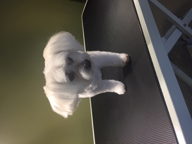 Casper