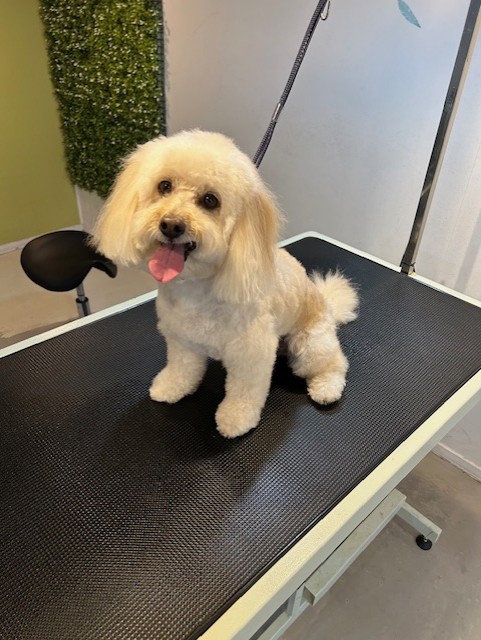 Charlie